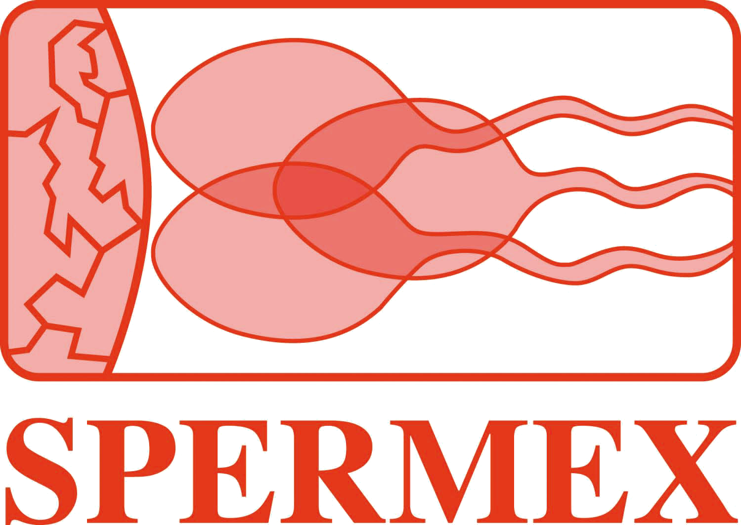 logo spermex