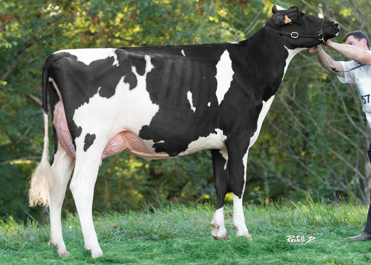 Metis de l'Esp&eacute;rance